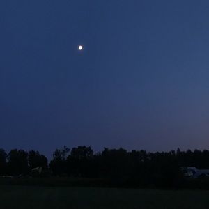 Meet your Posher, Jessie